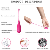 Velvet Bliss 6pcs Progressive Weight Kegel Balls